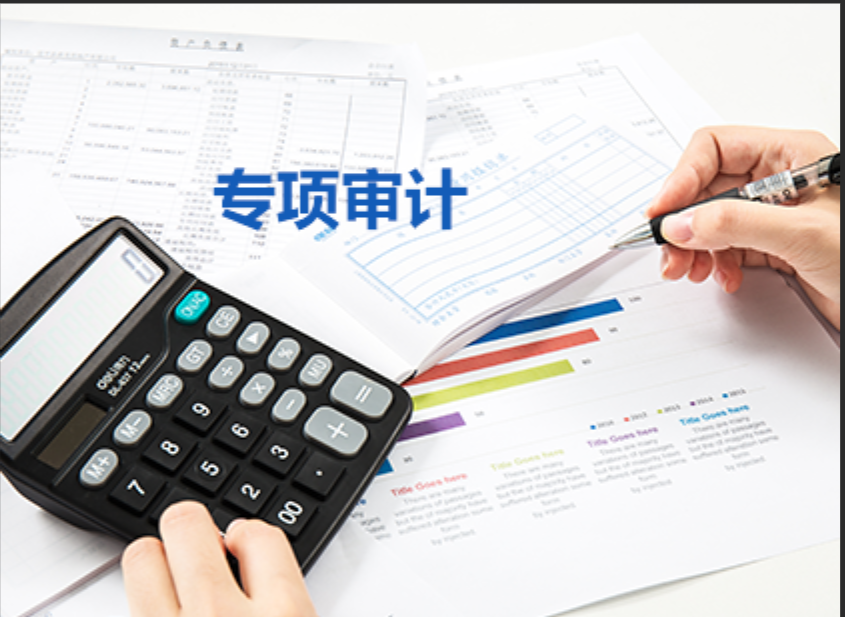 专项审计