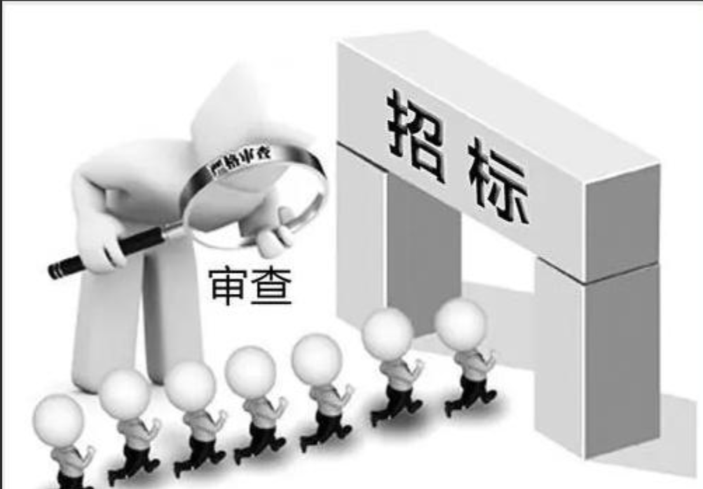 投标审计